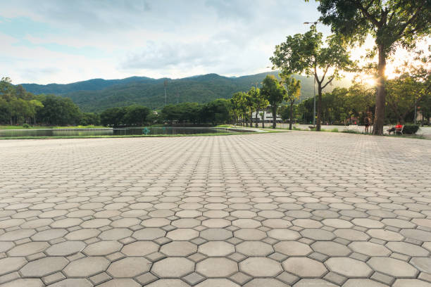 Best Driveway Pavers Near Me  in Conrad, MT